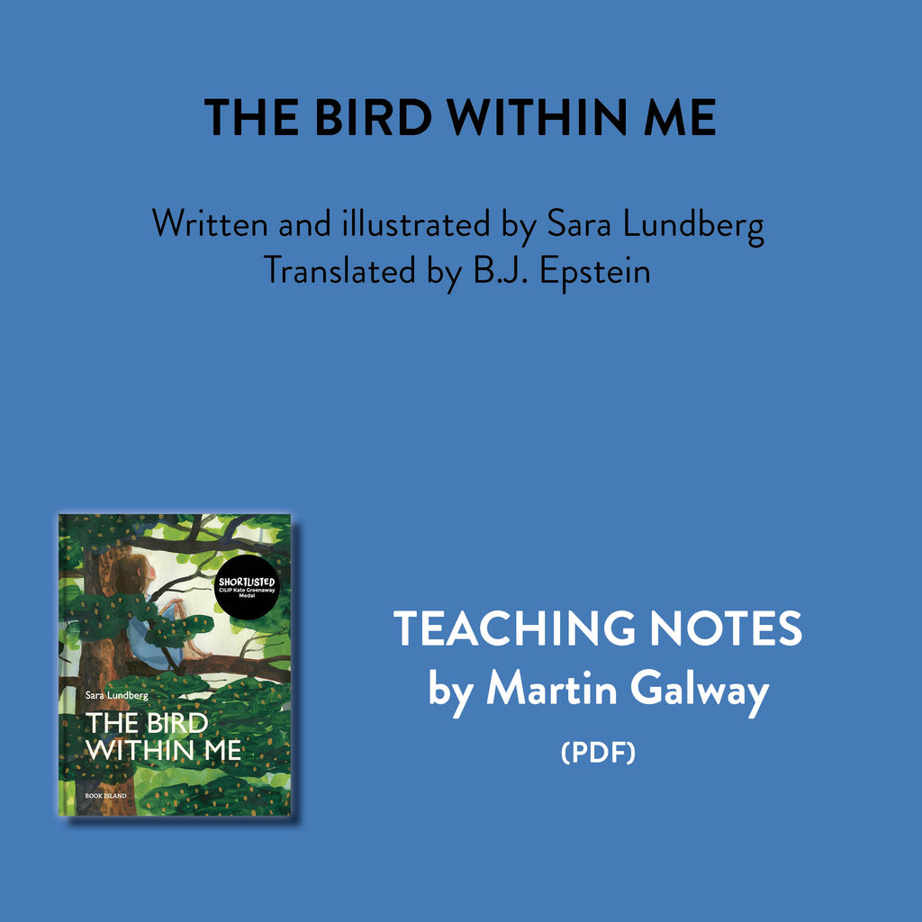 Teaching notes by Martin Galway